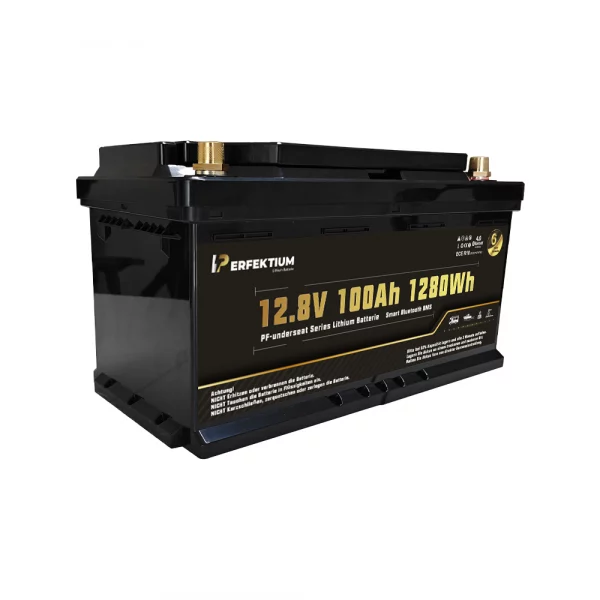 Perfektium PF-Serie LiFePO4-Lithiumbatterie 12,8 V 100 Ah, Smart-BMS mit Bluetooth, Wohnmobil-Untersitzbatterie Perfektium PF-Serie LiFePO4-Lithiumbatterie 12,8 V 100 Ah, Smart-BMS mit Bluetooth, Wohnmobil-Untersitzbatterie