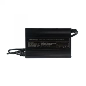Perfektium 48 V 20 A LiFePO4-Ladegerät